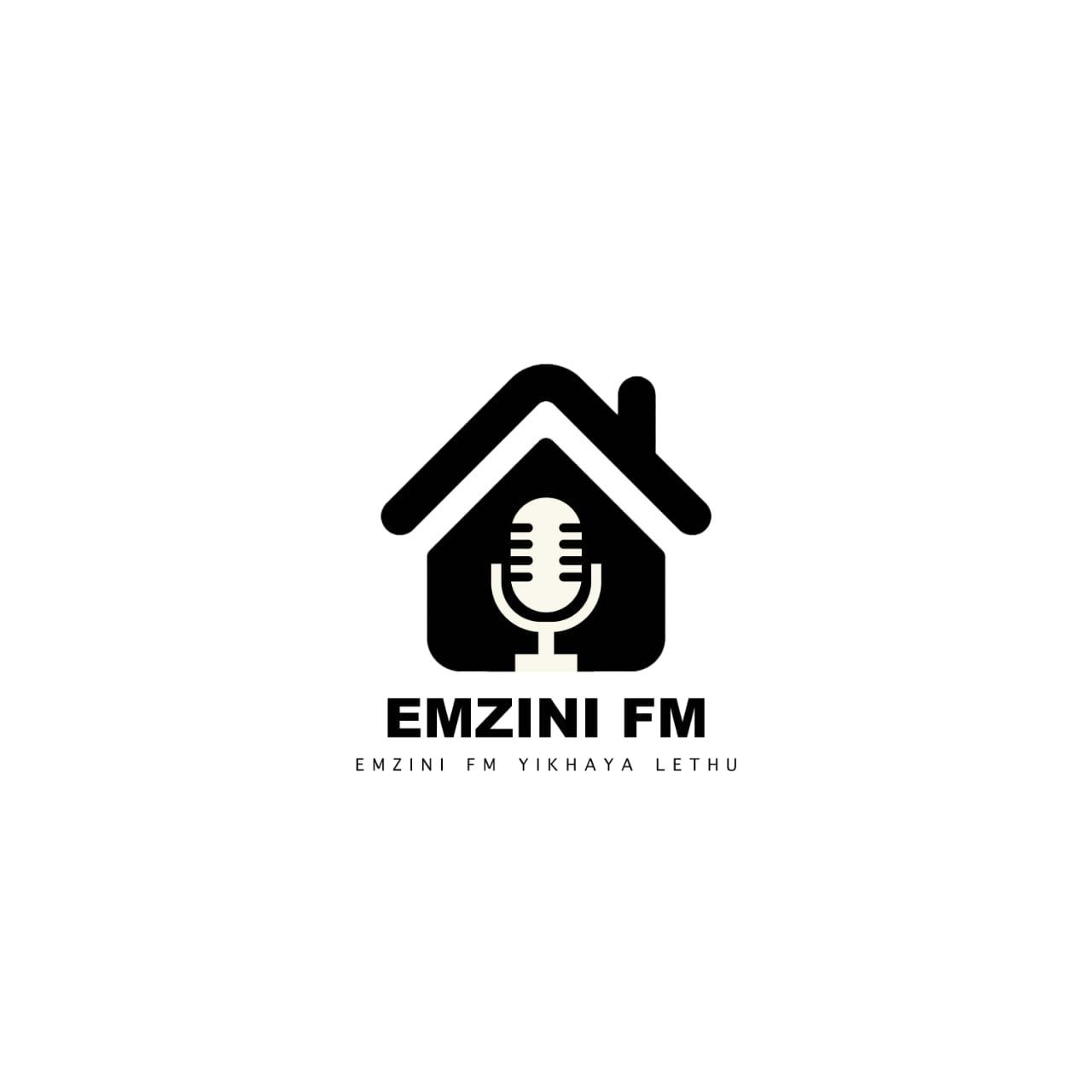 Emzini FM Logo